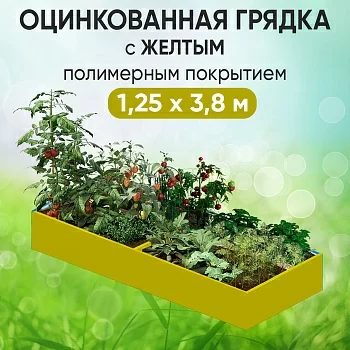 Грядка желтая (1,25 х 3,8)